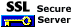 Online Payment is made on Our Secure Servers